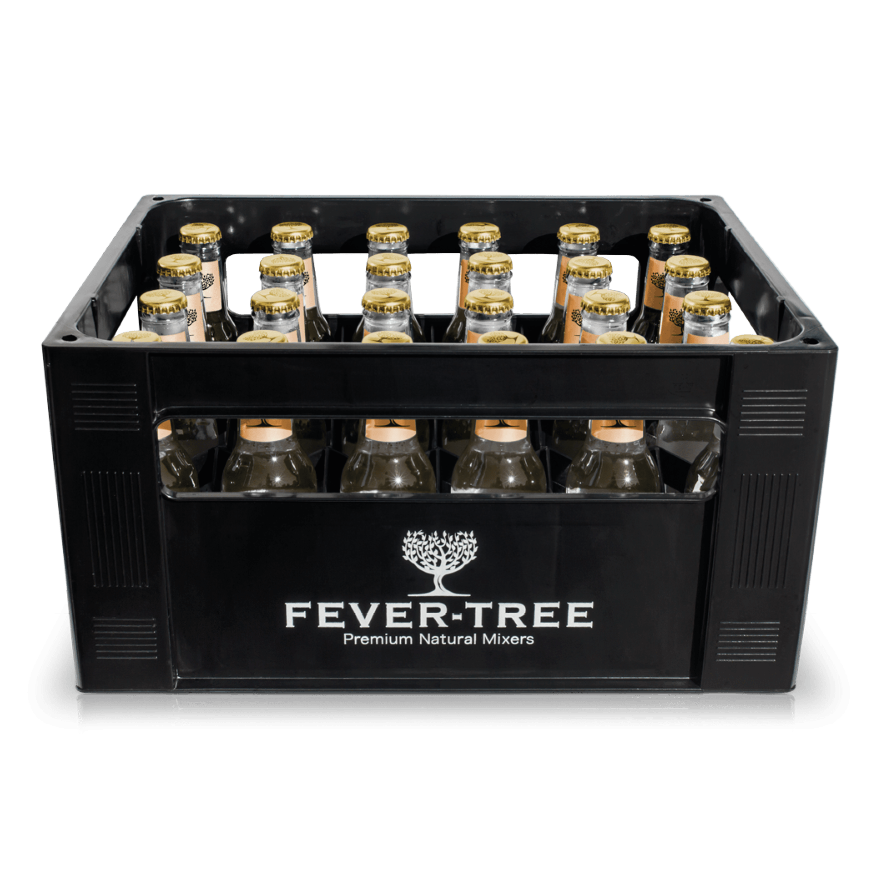 Fever Tree Ginger Ale 24x0,2 l